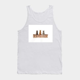 Three cats on the wall Tank Top